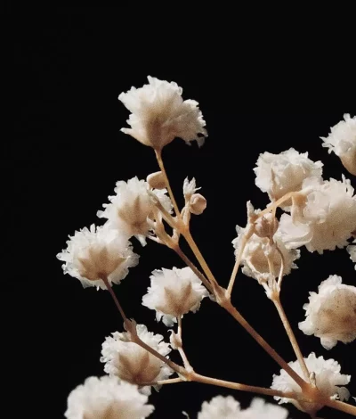 jocelyn-morales-j4ptdc6rt-a-unsplash-crp